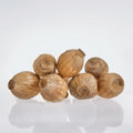 Large poppy capsules without stem