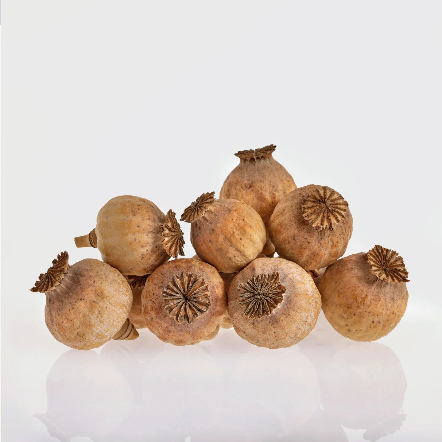 Small poppy capsules without stems 200g